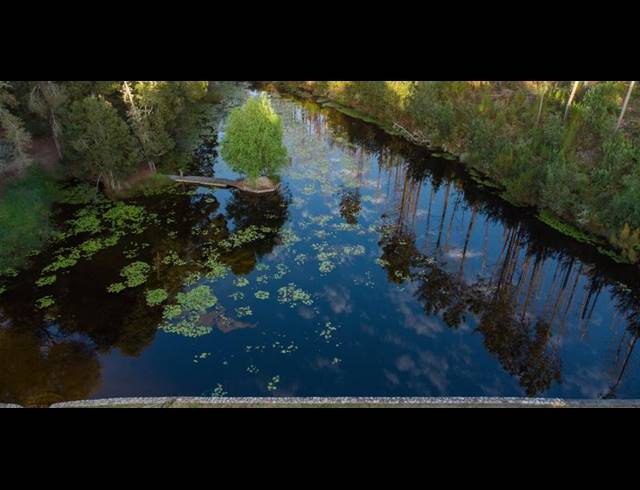 FARM FOR SALE IN PLETTENBERG BAY RURAL